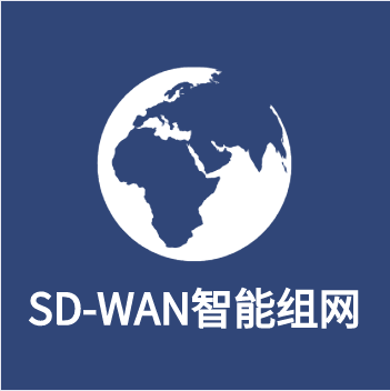 SD-WAN智能组网