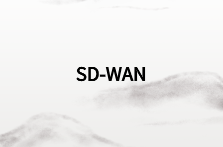 SD-WAN市场
