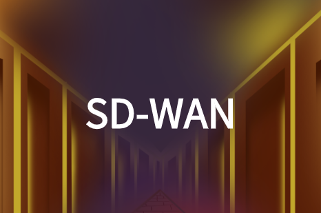 太阳成集团tyc151ccSD-WAN解决方案:实现跨国企业网络组网互联