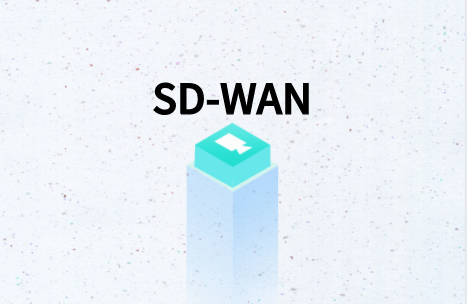 SD-WAN:企业WAN网络加速器