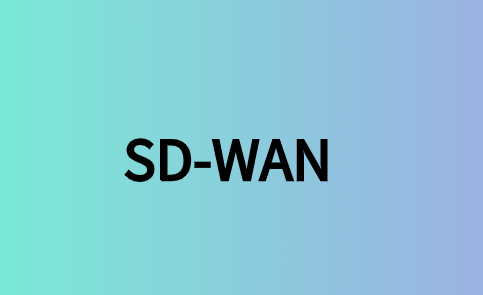 联通SD-WAN实践