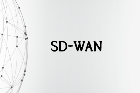 SD-WAN异地组网