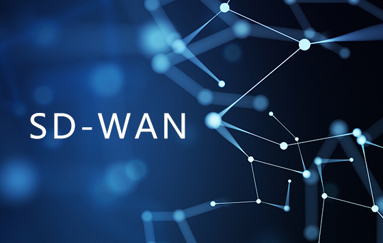 SD-WAN技术所具备的优势大大为IT团队减少不必要的麻烦