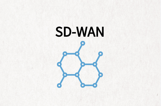 企业分支SD-WAN组网解决方案