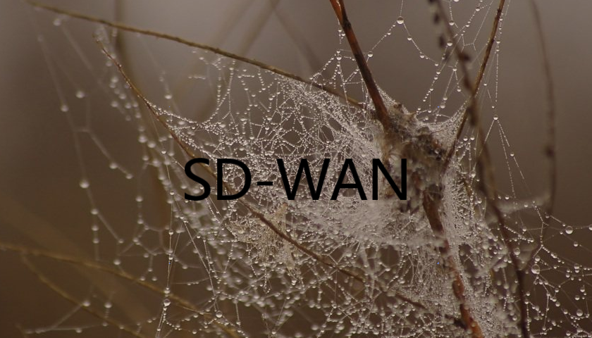 SD-WAN 是如何优化广域网的?