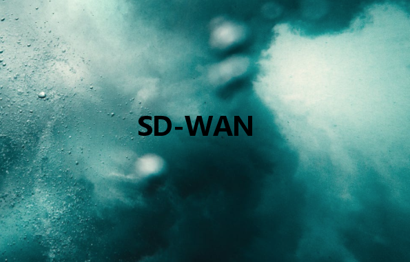 SD-WAN:使通过公共网络传输的数据像专用网络一样安全