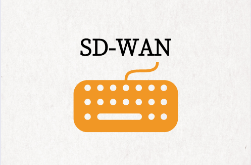 SD-WAN边缘设备架构