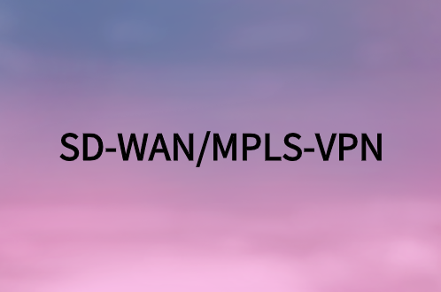 衡量SD-WAN与-